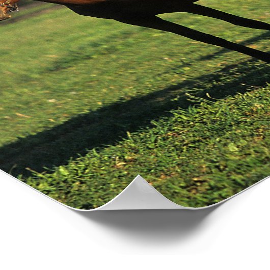 Poster Thoroughbred (Coin)