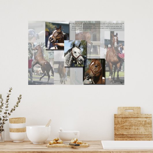 Poster Thoroughbred Défini (Cuisine)
