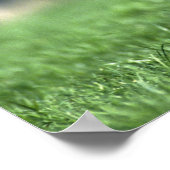 Poster Thoroughbred Horse, Irlande (Coin)