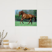 Poster Thoroughbred Stallion, Irlande (Cuisine)