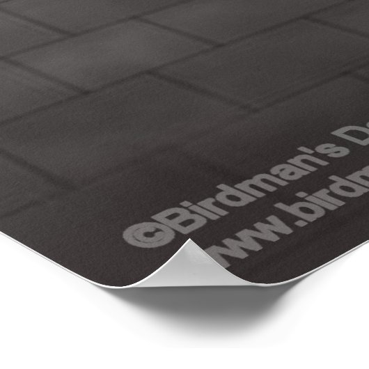 Poster Thoth_La Déité Lune (Coin)