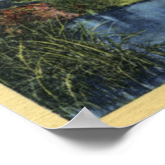 Poster Thousand Springs, ID - Juniper, Wing, and Minnie (Coin)