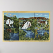 Poster Thousand Springs, ID - Juniper, Wing, and Minnie (Devant)