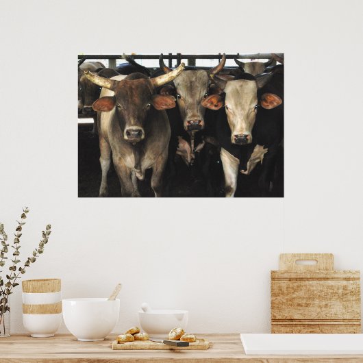 Poster Three Amigos - Bull Cows Stress wild west art (Cuisine)