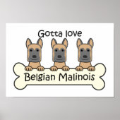 Poster Three Belgian Malinois (Devant)