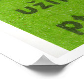 Poster Three Birds in Tree - Matchbox Print - Czech Wall (Coin)