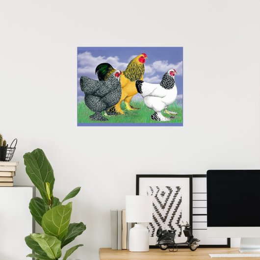 Poster Three Brahmas (Bureau à domicile)