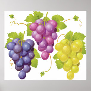 Poster Three Bunches Of Grapes
