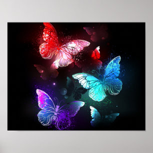 Poster Three Glowing Butterflies on night background
