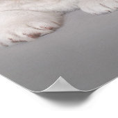 Poster Three Landseer puppies (Coin)