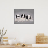 Poster Three Landseer puppies (Cuisine)