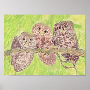 Poster Three Little Scowling Owls - acrylic painting.   