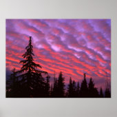 Poster Three Sisters Wilderness, Oregon (Devant)