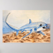 Poster Thresher Shark (Devant)