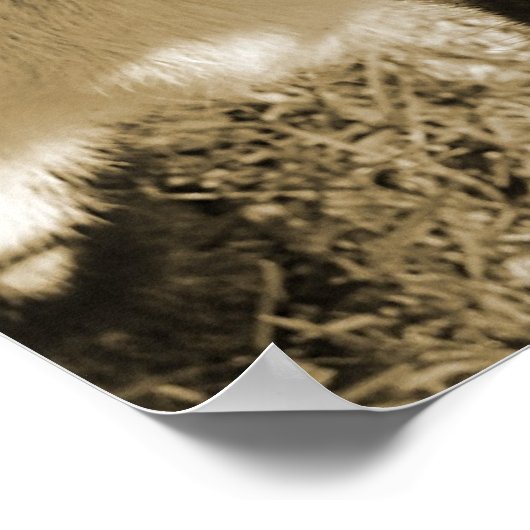 Poster Thumbalina le goat (Coin)