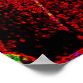 Poster Thumpin' (Coin)