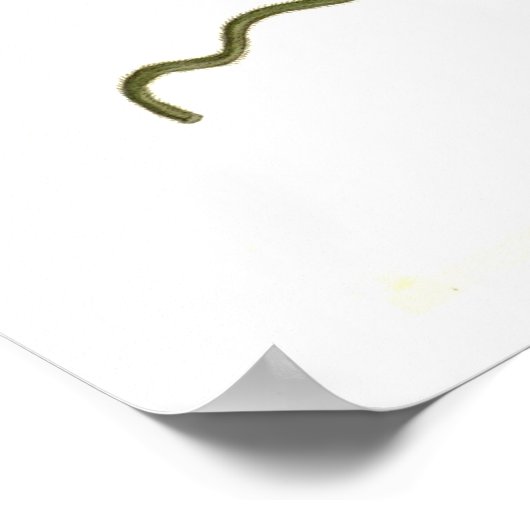 Poster Thunbergia alata (Coin)