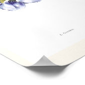 Poster Thunbergia grandiflora (Coin)