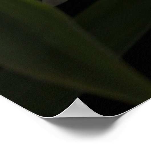 Poster Thunia Marshalliana (Coin)