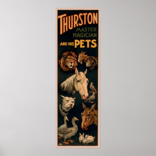 Poster Thurston maître magicien et ses animaux domestique (Devant)