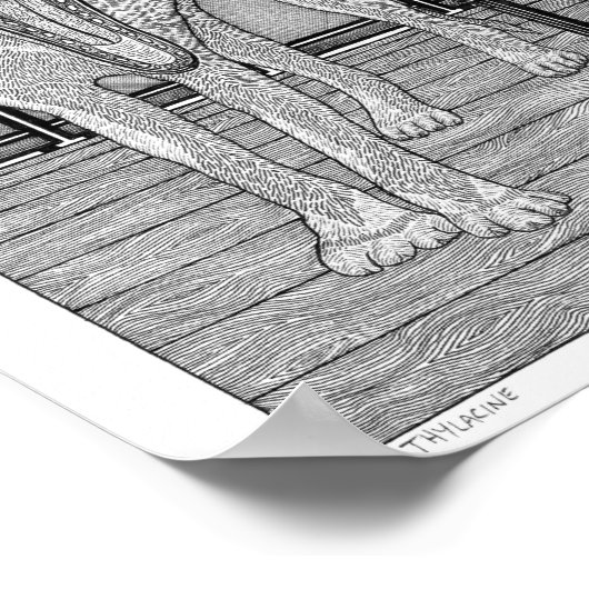 Poster Thylacine (Coin)