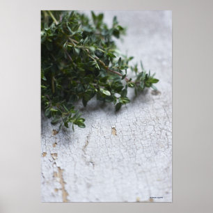 Poster Thym sur la vieille table en bois