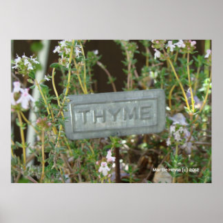 Poster Thyme