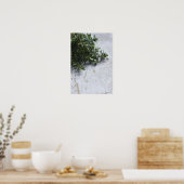 Poster Thyme sur une vieille table en bois (Cuisine)