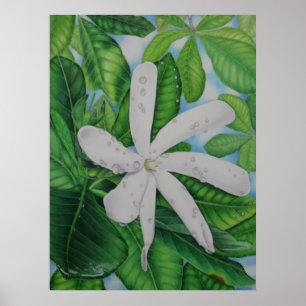 Poster Tiare Tahiti