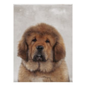 Poster Tibetan Mastiff Perfect Poster (Voorkant)