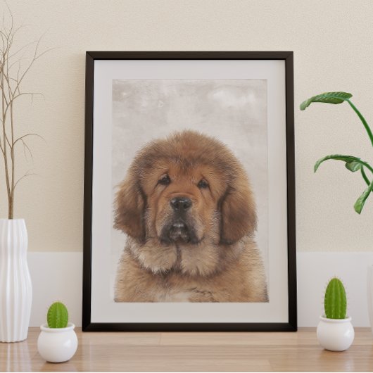 Poster Tibetan Mastiff Perfect Poster
