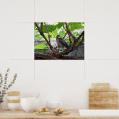 Poster Tidi my Bird le Parus Major (Cuisine)