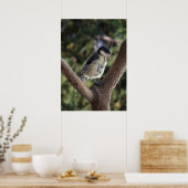 Poster Tidi my Bird le Parus Major (Cuisine)