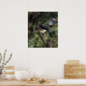 Poster Tidi my Bird le Parus Major (Cuisine)