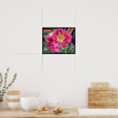 Poster Tie Dye Daylily (Cuisine)