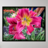 Poster Tie Dye Daylily (Devant)