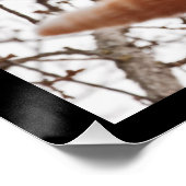 Poster Tiens bon ! - Ginger cat tenant serré (Coin)