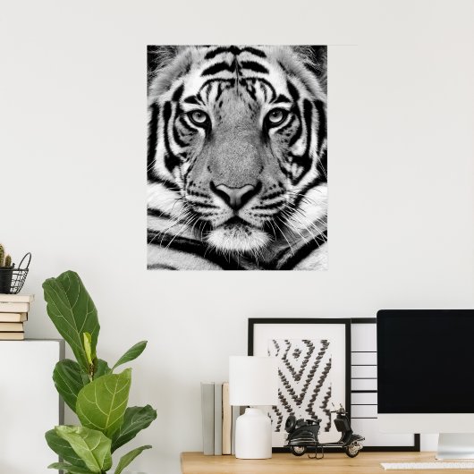 Poster Tiger (Bureau à domicile)