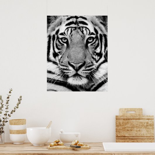 Poster Tiger (Cuisine)
