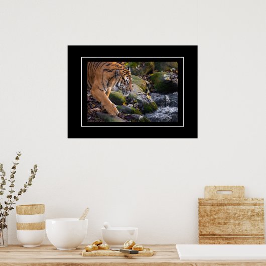 Poster Tiger (Cuisine)