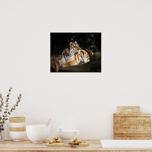 Poster Tiger (Keuken)