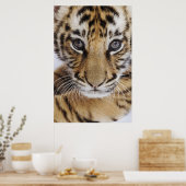 Poster Tiger (Cuisine)