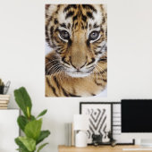 Poster Tiger (Bureau à domicile)