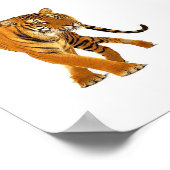 Poster Tiger (Coin)