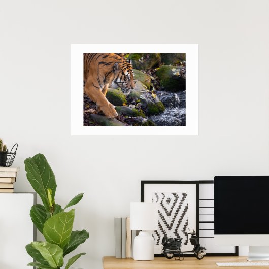 Poster Tiger (Bureau à domicile)