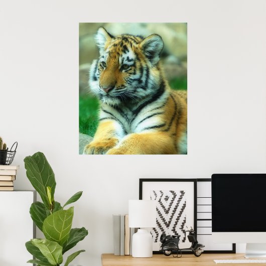 Poster Tiger (Bureau à domicile)