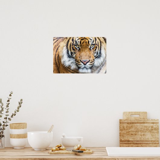 Poster Tiger (Cuisine)