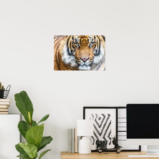 Poster Tiger (Bureau à domicile)