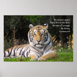 Poster Tiger