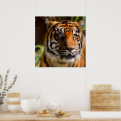 Poster Tiger (Cuisine)